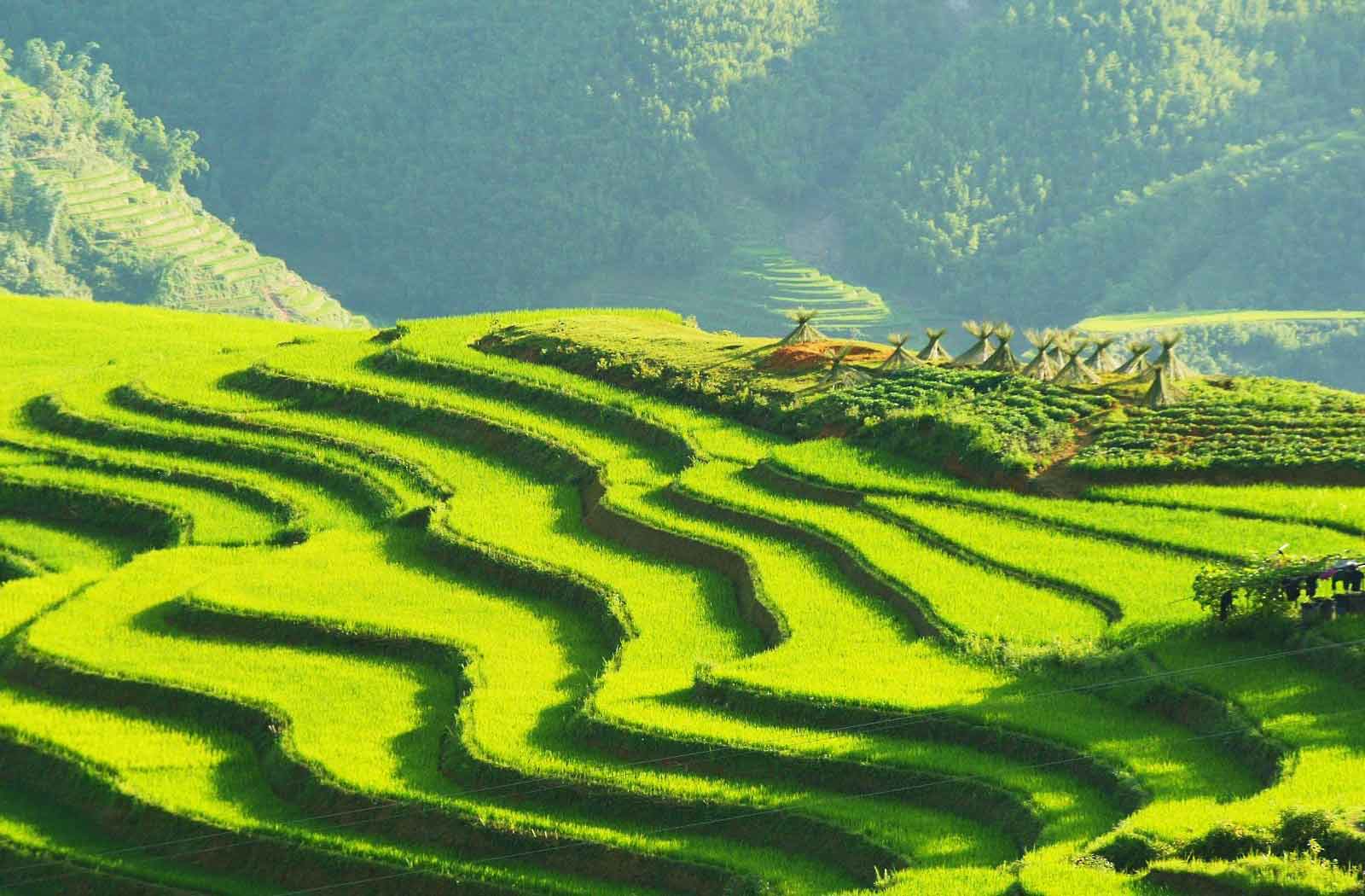 LAO CHAI AND TA VAN VILLAGE